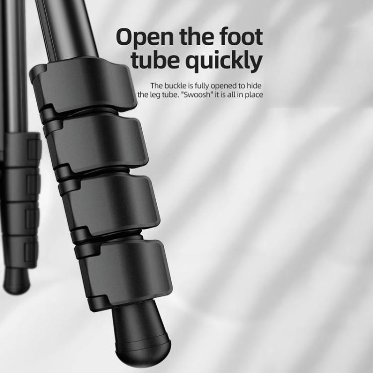 BEXIN TA254-BS30 Portable Collapsible Aluminum Alloy Camera Tripod with Head