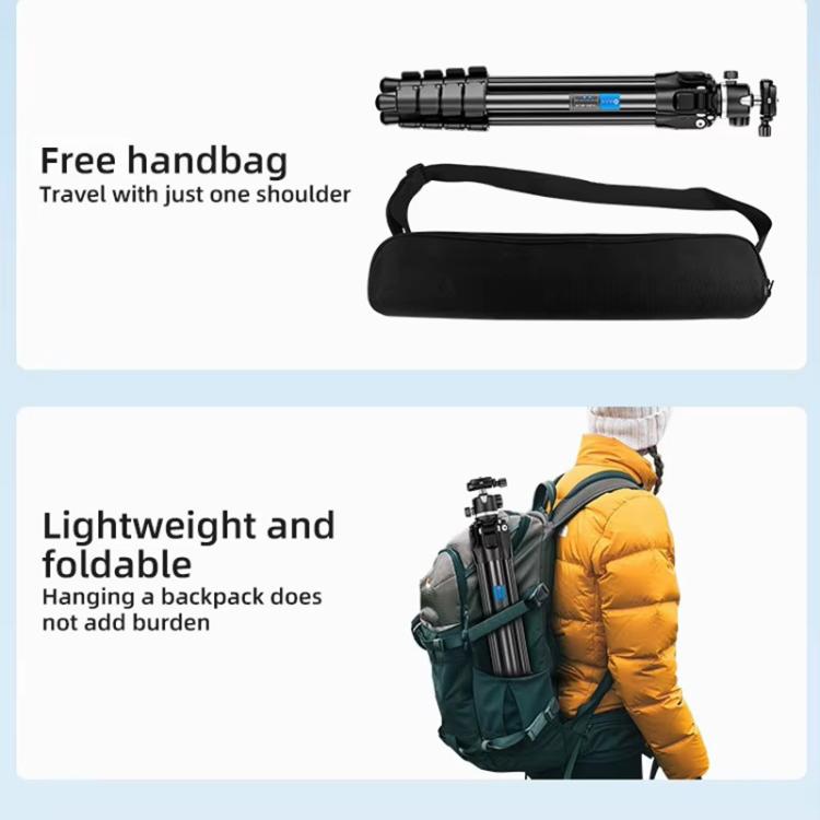BEXIN TA254-BS30 Portable Collapsible Aluminum Alloy Camera Tripod with Head