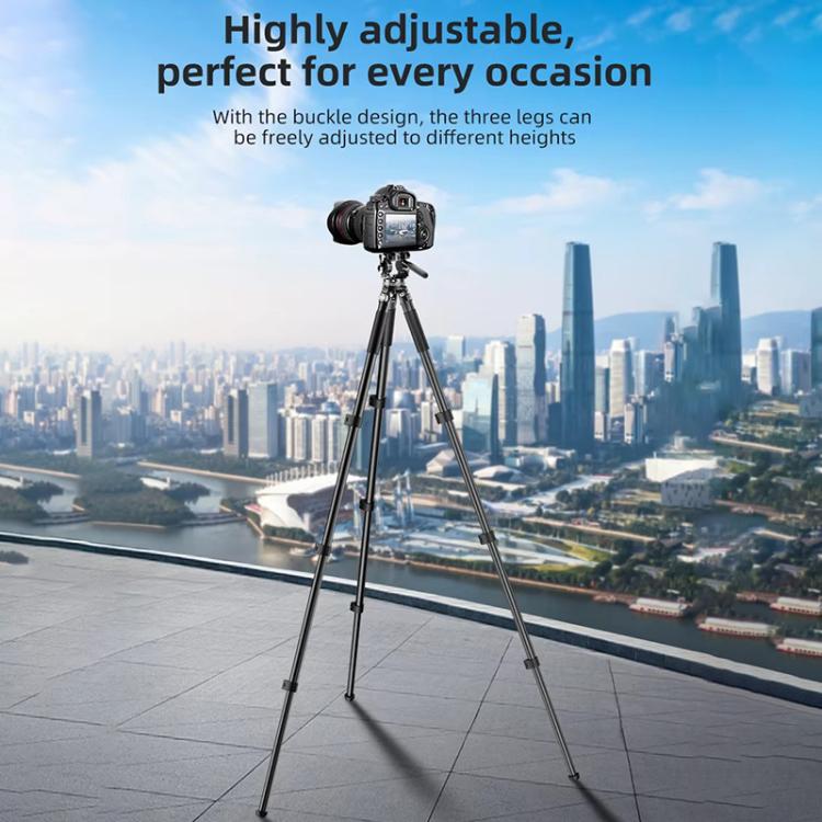 BEXIN RK294 Portable Collapsible Carbon Fiber Camera Tripod