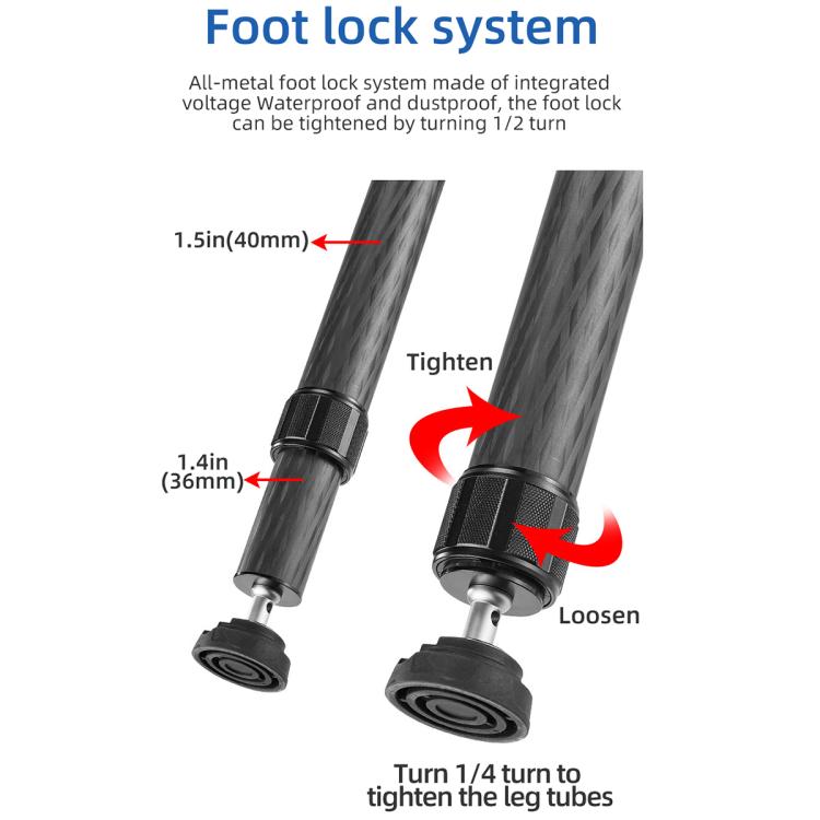BEXIN ST402C Portable Collapsible Carbon Fiber Camera Tripod