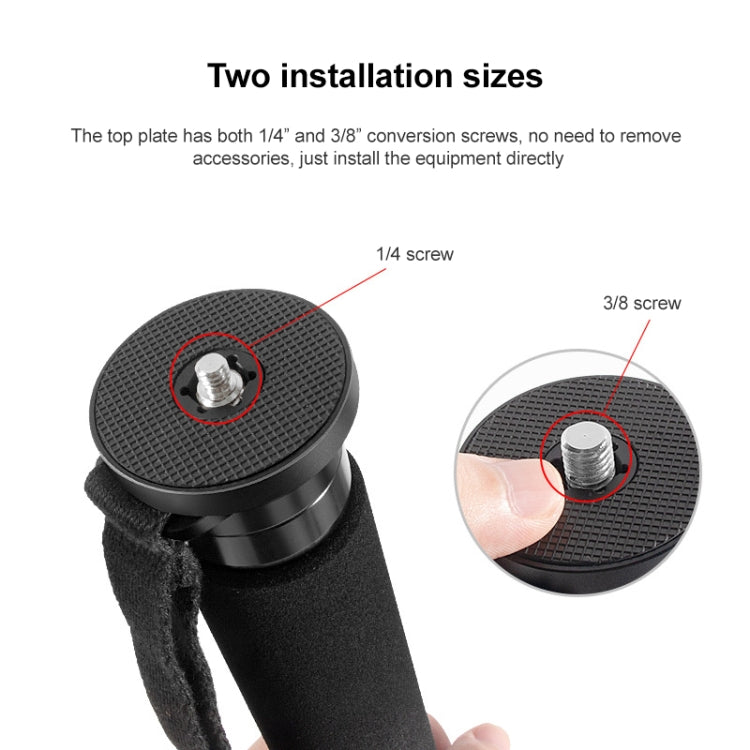 BEXIN P336C Camera Carbon Fiber Monopod Travel Live Selfie Bracket Holder