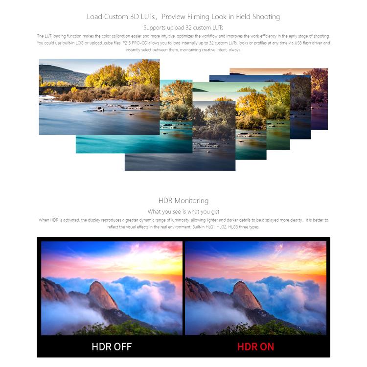 SEETEC P215 PRO-CO 21.5 inch 1000nit High Bright Broadcast Monitor Full HD 1920x1080Monitor