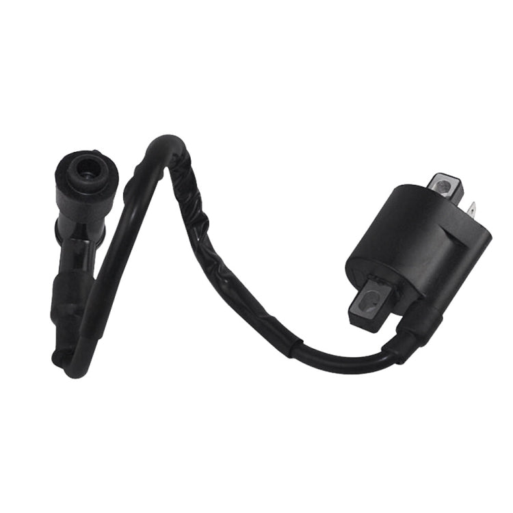 Motorcycle Ignition Coil for 125cc 150cc 200cc High Pressure Coil ATV Quad Dirt Pit Bike