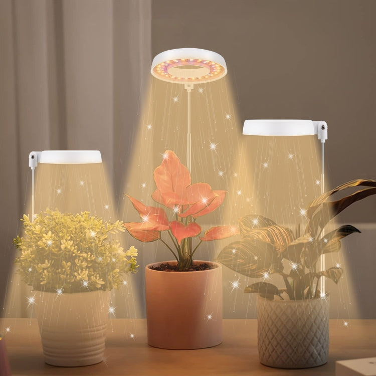 10W 48 LEDs Succulent Plant Grow Fill Light