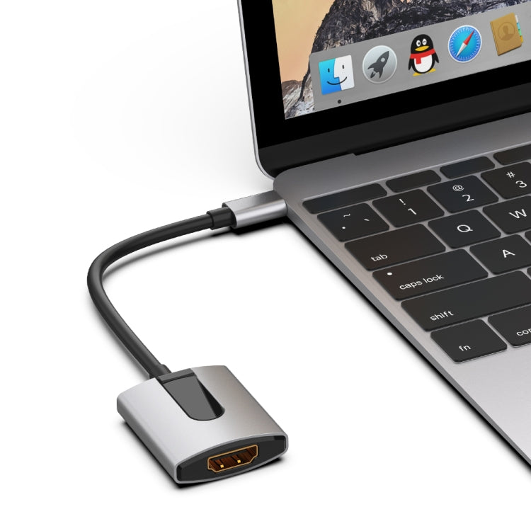 9587S USB-C/Type-C to HDMI Adapter