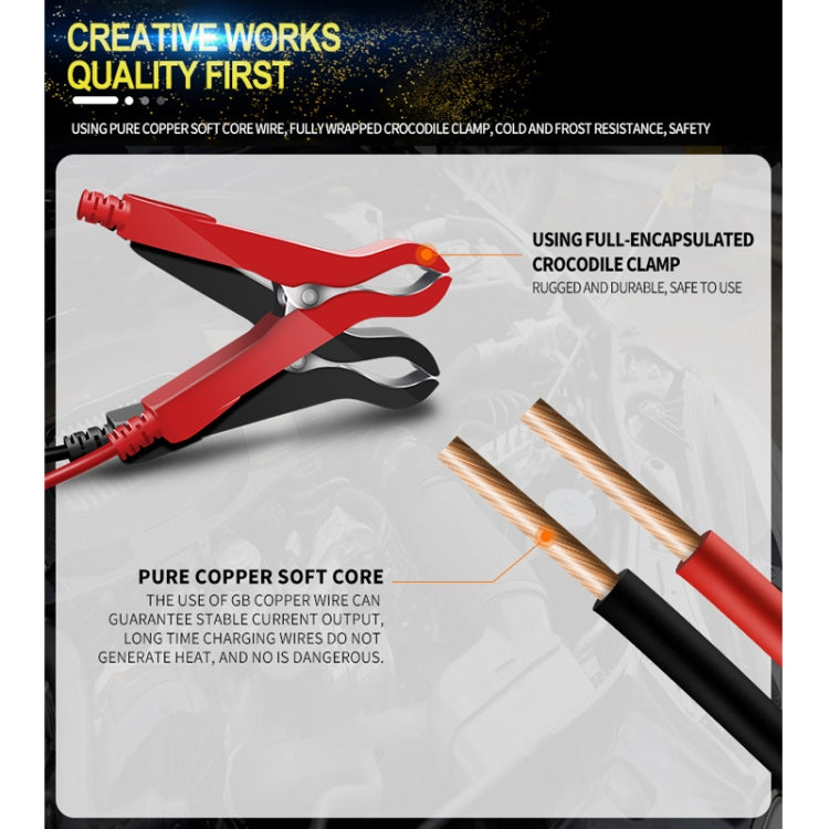 ANHTCzyx 12V 8A  / 24V 4A Automobile Battery Charger Motorcycle Battery Repair Type AGM