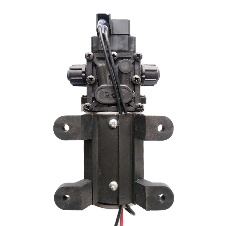 Diaphragm 8L Atomizing Spray Water Pump for Car Washing / Irrigation