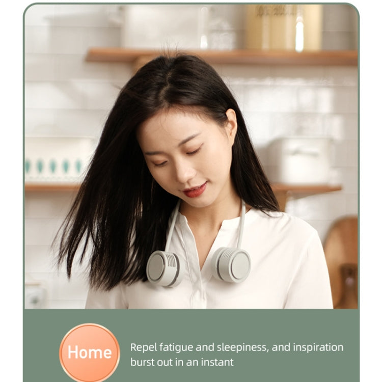 DQ209 Portable Hanging Neck Mute Aroma Diffuser Small Fan