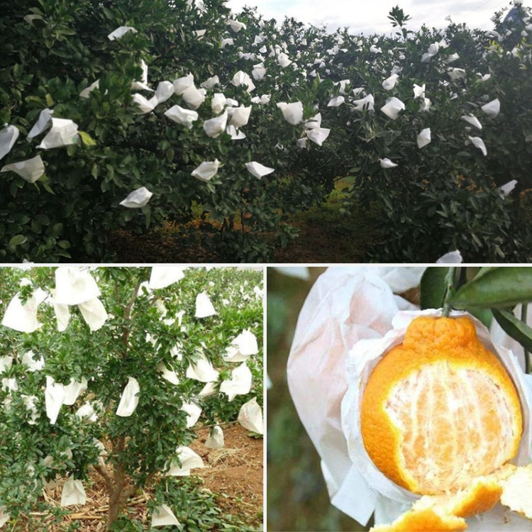 100pcs Fruit Protective Bag Waterproof Orange Packaging Bag Paper Bag