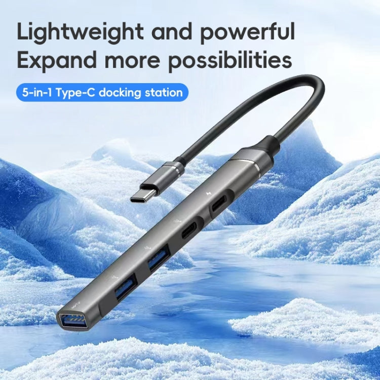 2 Type-C, 3 USB Multifunctional HUB Docking Station