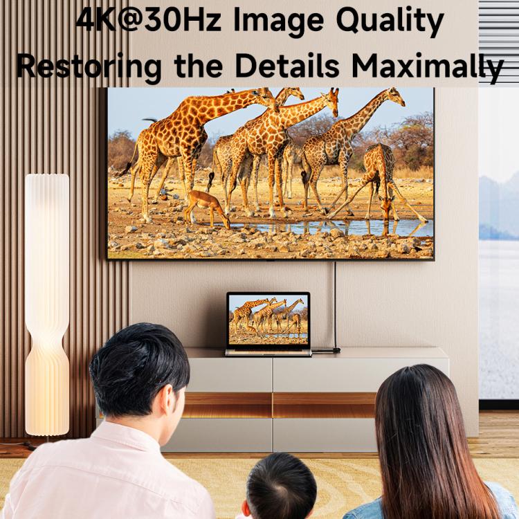 awei CL-217T USB-C / Type-C to HDMI 4K 30Hz UHD Adapter Cable