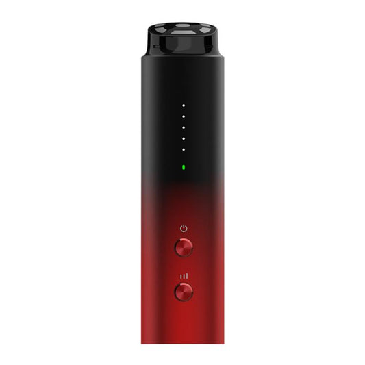 L3007 Frequency Conversion Microcurrent Photon Skin Rejuvenation RF Beauty Instrument