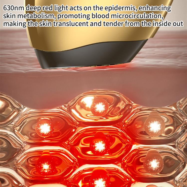 WG-SP-MS1135 EMS Collagen Cannon Essence Introducer Photon Skin Rejuvenation RF Beauty Device