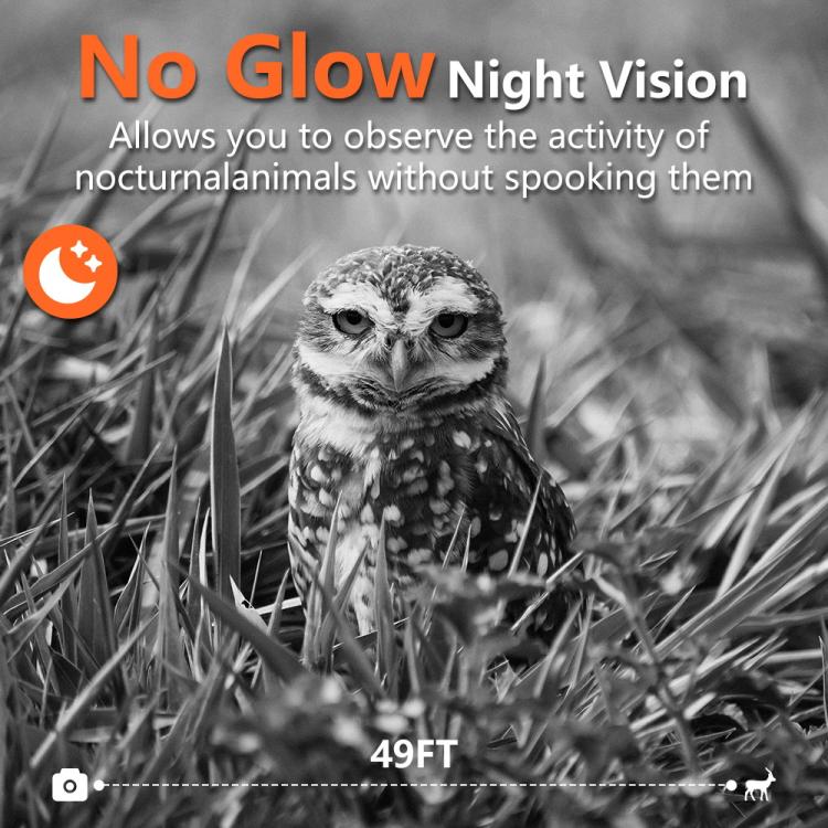 PR906W WiFi Version 5K HD Night vision Infrared Hunting Camera