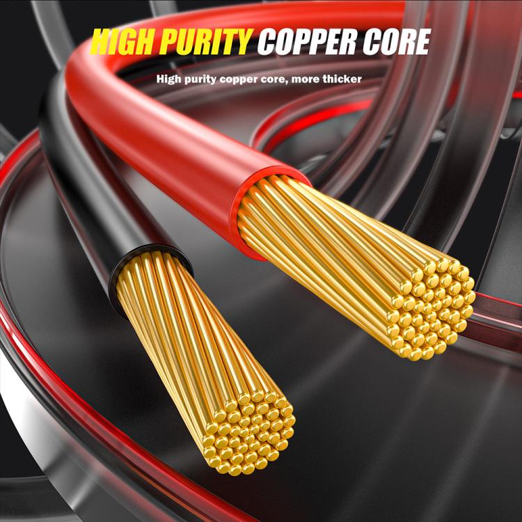 FOXSUR FTC-1206 2 in 1 12V Charging Tester Integrated Machine Car Motorcycle Battery Charger Tester