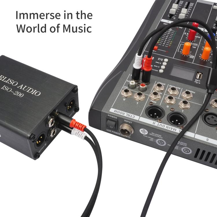 2 RCA Male to 2 RCA Male Audio Cable