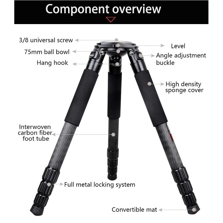 BEXIN ST424C Rugged Camcorder Photographic Carbon Fiber Big Tripod, Max Tube: 40mm