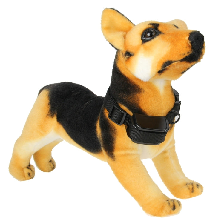 Rechargeable and Waterproof 300m Remote Pet Dog Training Collar with LCD display