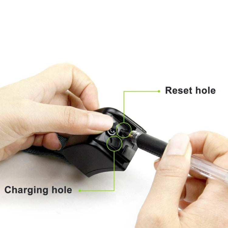 Rechargeable and Waterproof 300m Remote Pet Dog Training Collar with LCD display