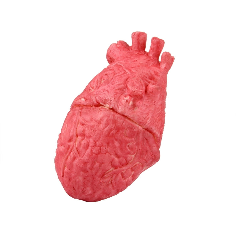 Popular Funny Halloween Props Fake Heart