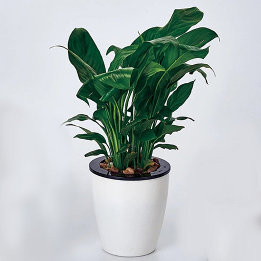 Lazy Flower Pots Automatic Water-absorbing Hydroponic Potted Plants Circular Resin Plastic Flower Pots Double-layer Design Self Watering Planter, Diameter: 11cm, Height: 10.3cm