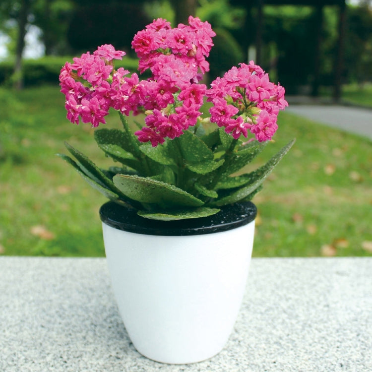 Lazy Flower Pots Automatic Water-absorbing Hydroponic Potted Plants Circular Resin Plastic Flower Pots Double-layer Design Self Watering Planter, Diameter: 15cm, Height: 15.5cm
