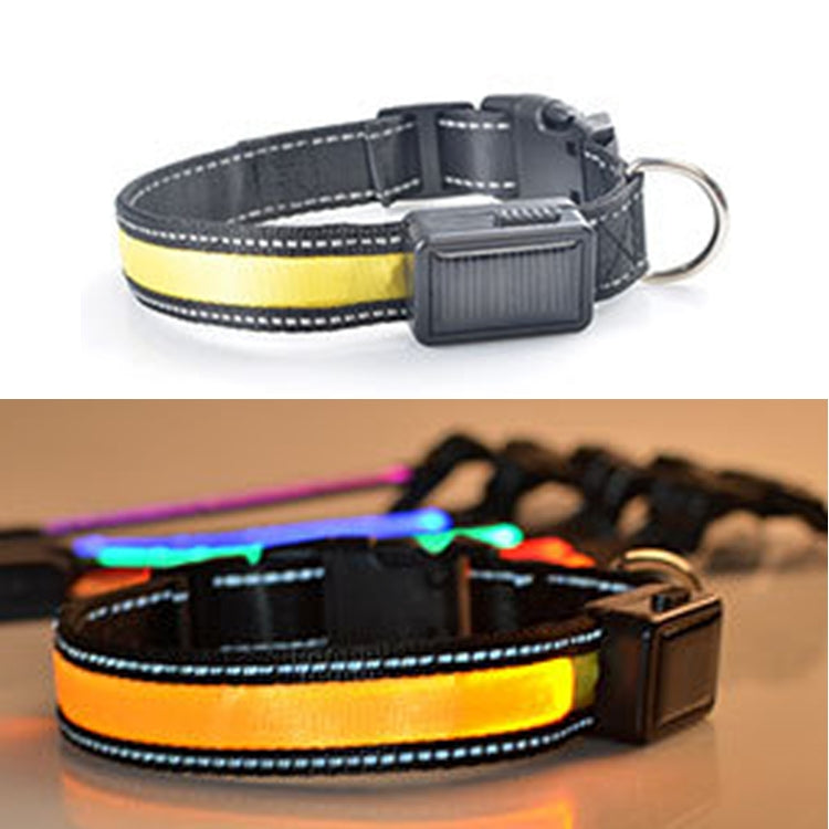 Medium and Large Dog Pet Solar + USB Charging LED Light Collar, Neck Circumference Size: L, 50-60cm
