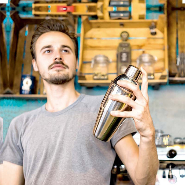 7 in 1 Stainless Steel Wine Cocktail Shaker Tools Set with Cloth Bag, Capacity: 550ml