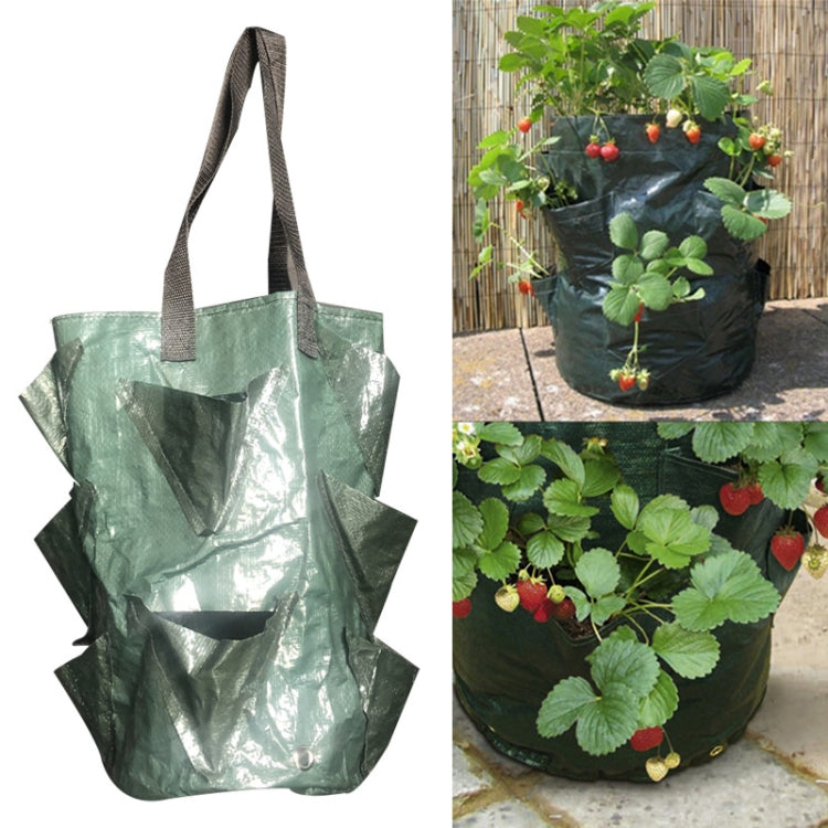 CMD-3 3 Gallon Hanging Strawberry PE Planting Bag Horticultural Flower Planting Bag