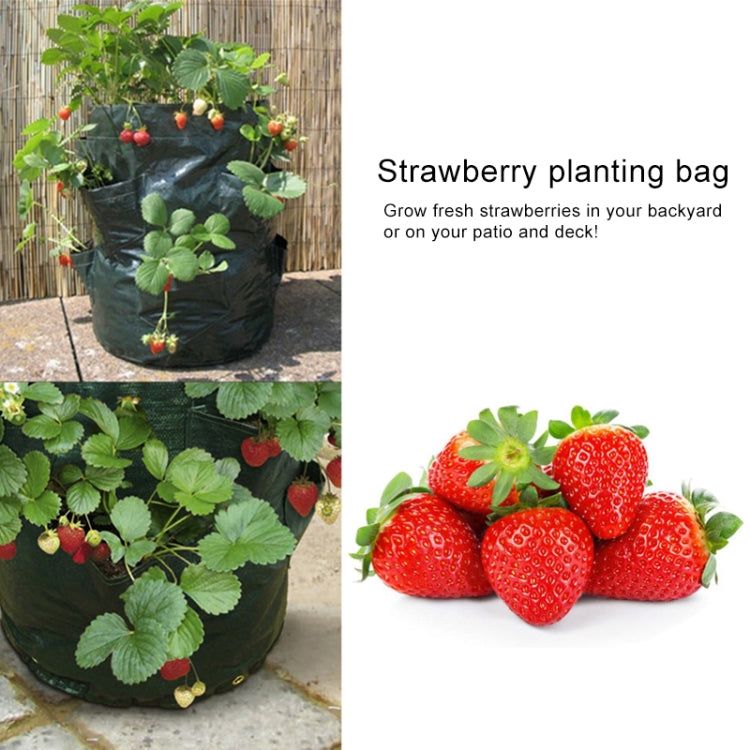 CMD-3 3 Gallon Hanging Strawberry PE Planting Bag Horticultural Flower Planting Bag