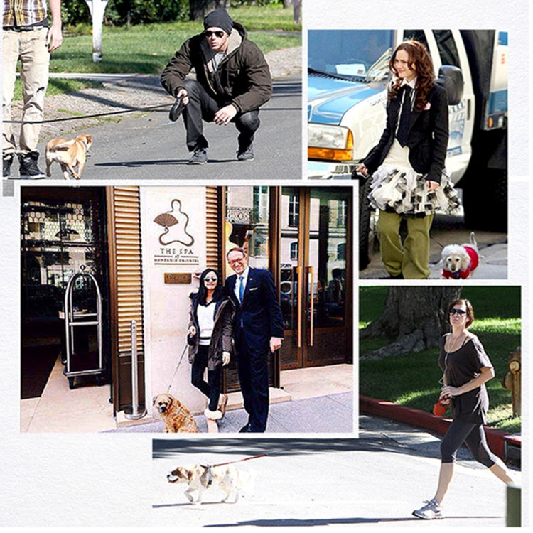 Pet Medium Large Dogs Cushion Traction Rope Spring Foam Handle Explosion-proof Short Chain, Size: 3mm*40cm, Foam Width: 2cm