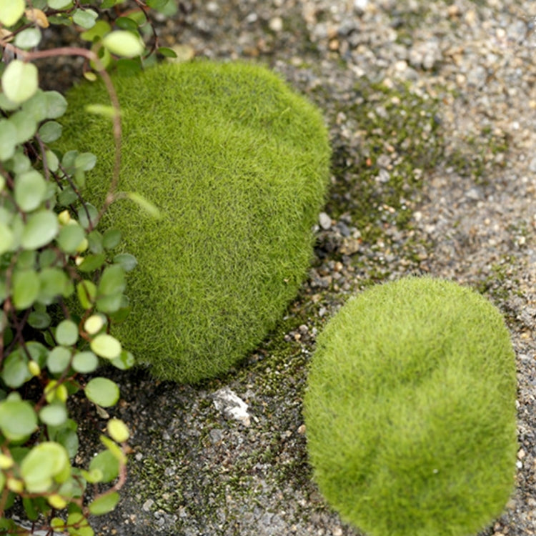 Simulation of False Moss Simulation of Bryophyte Stone Moss Flocking False Lawn Micro Landscape Decoration Accessories,Diameter:10cm