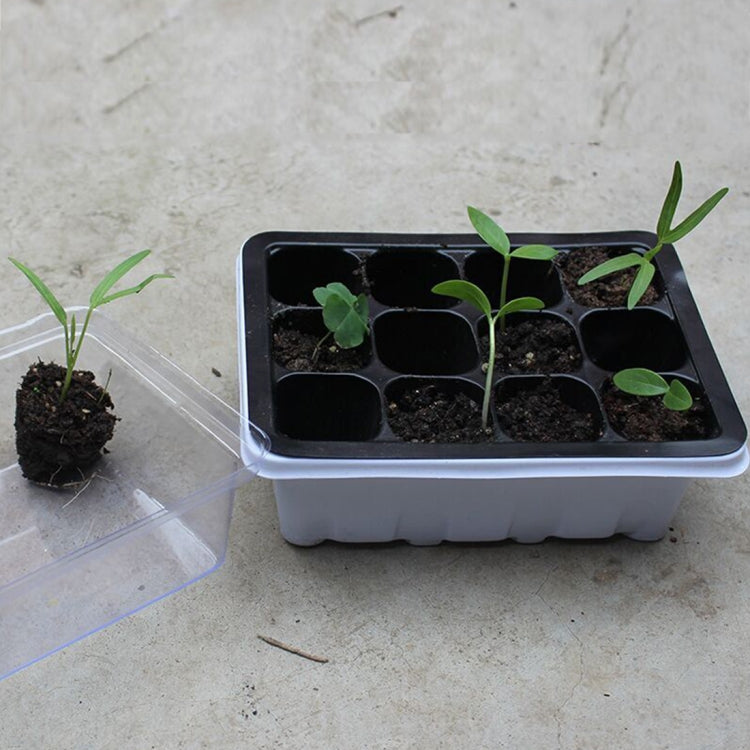 Seedling Tray Sprout Plate 12 Holes Nursery Pots Tray Lids Box For Gardening Bonsai Mini Greenhouse Nursery Plate