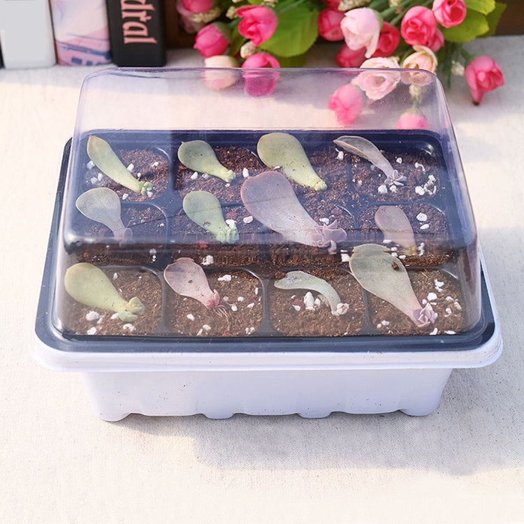 Seedling Tray Sprout Plate 12 Holes Nursery Pots Tray Lids Box For Gardening Bonsai Mini Greenhouse Nursery Plate