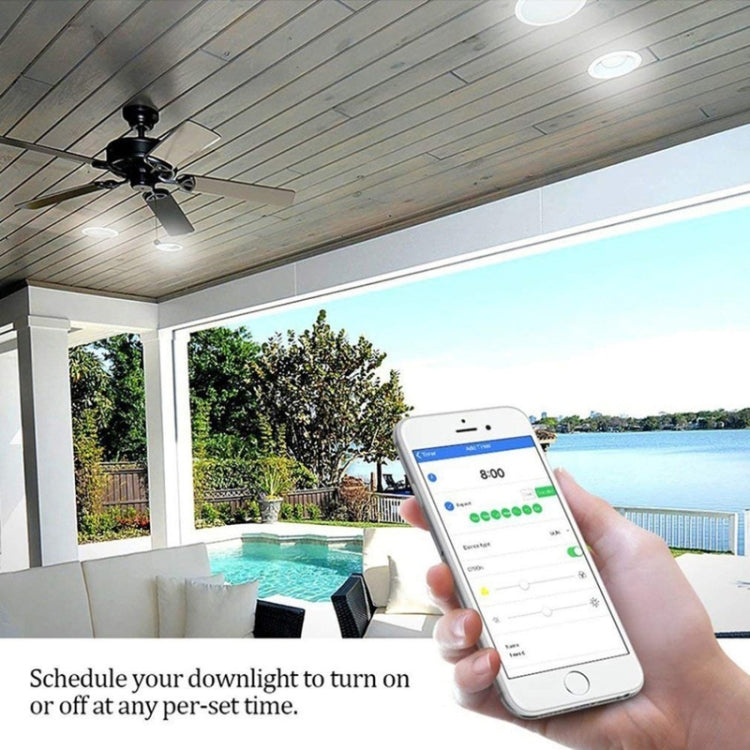 RGB Dimming WIFI Smart Downlight Highlight Spotlight