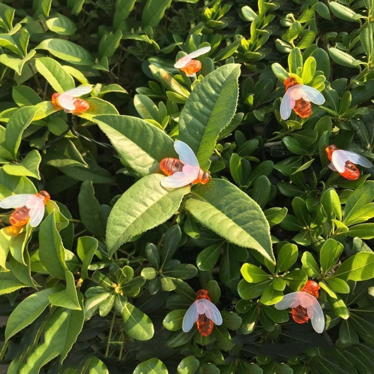 6.5m 30 LEDs Bee Solar Powered Warm White Outdoor Garden Decorative String Light Fairy Lamp with 100mA / 1.2V Solar Panel