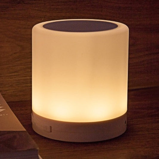 with LED Light & Handle, Support AUX IN & Hands-free Answer & TF Card