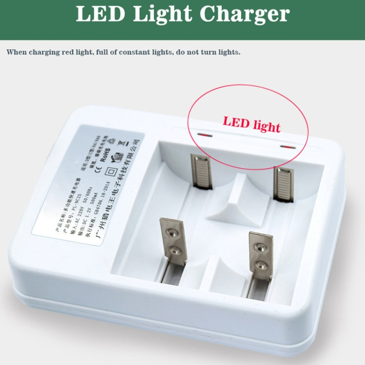 AC 220V 2 Slot Battery Charger for AA & AAA & C / D Size Battery, CN Plug