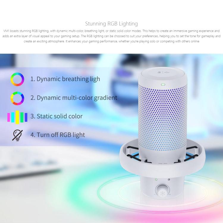 FEELWORLD VM1 USB Condenser Gaming Microphone for Streaming Noise Cancellation Mute RGB Light Desktop Stand, VM1-XS