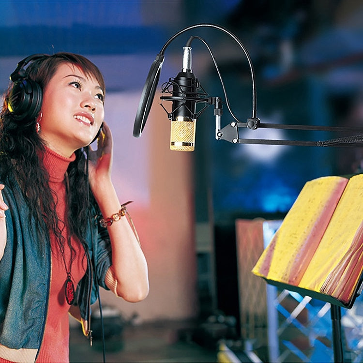 Compatible with PC / Mac for Live Broadcast Show, KTV, etc., BM800 Pink, BM800 Blue, BM800 Red, BM800 White, BM800 Black