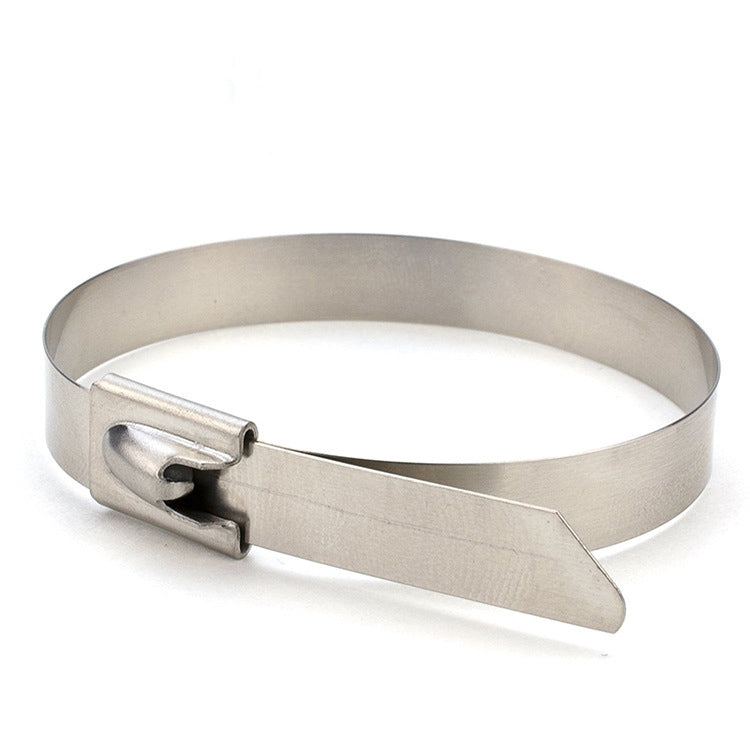 100 PCS 4.6x250mm Stainless Steel Metal Cable Ties Tie Zip Wrap Exhaust Heat Straps Induction Pipe