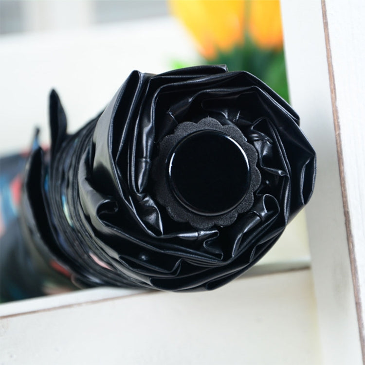 Black Waterproof Anti-UV