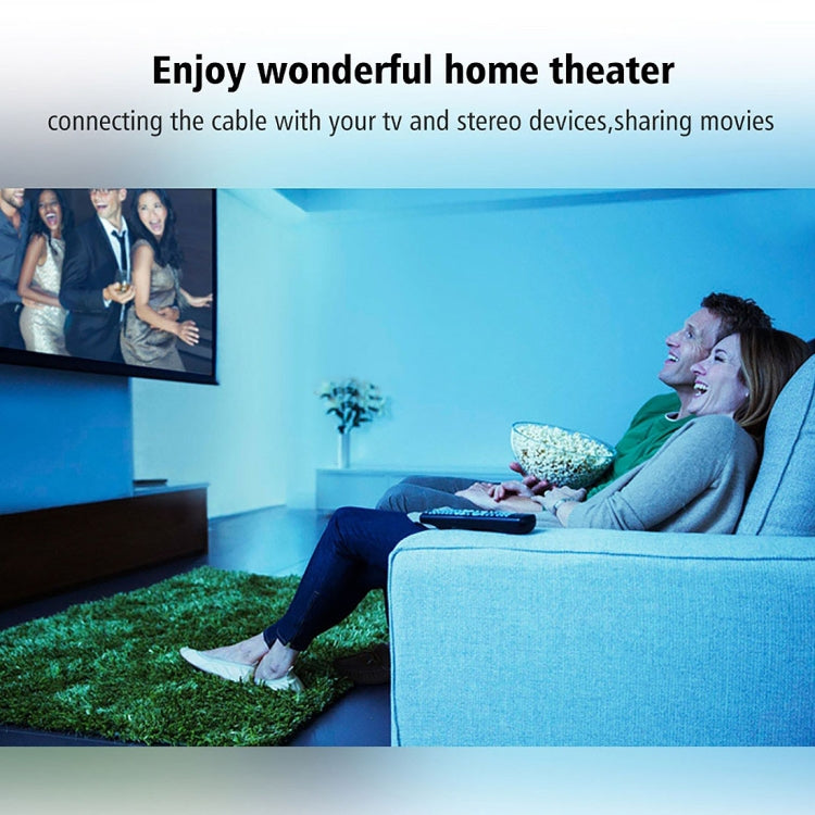 10m OD6.0mm Nickel Plated Metal Head Toslink Male to Male Digital Optical Audio Cable