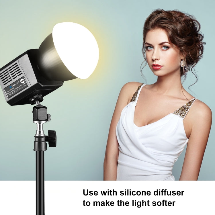 PULUZ 60W Studio Video Light 2500K-6500K Dual Color Temperature Professional Photography Fill Light