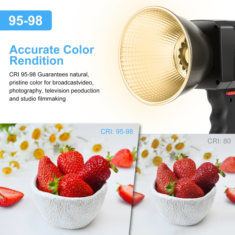 PULUZ 60W Studio Video Light 2500K-6500K Dual Color Temperature Professional Photography Fill Light