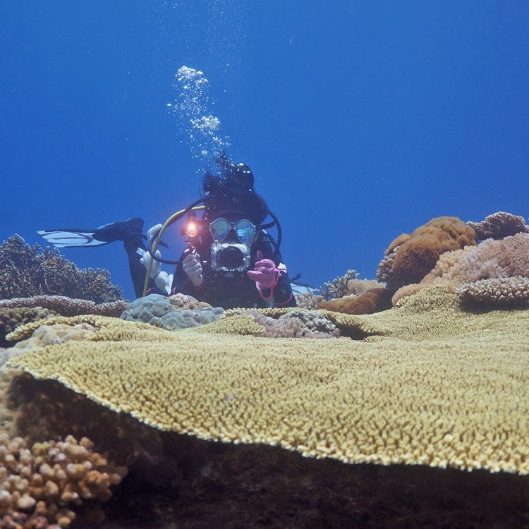 PULUZ 40m Underwater Depth Diving Case Waterproof Camera Housing for Sony RX100 III