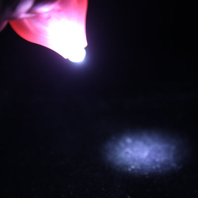 Mini LED Flashlight, White Light