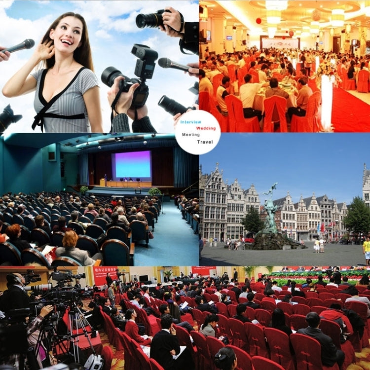 TAKSTAR SGC-598 Professional Photography Interview Dedicated Microphone for DSLR & DV Camcorder