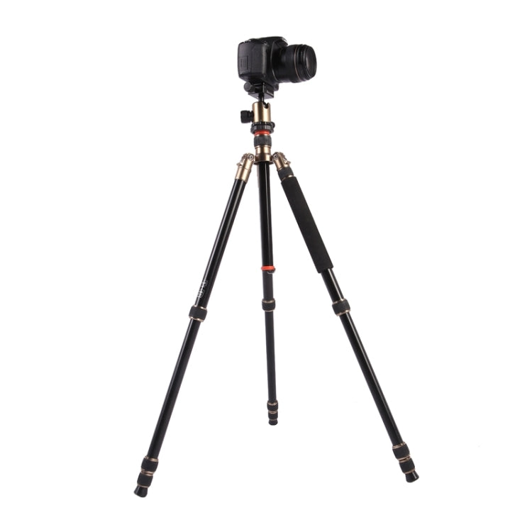 Triopo MT-2504C Adjustable Portable Aluminum Tripod with NB-1S Ball Head for Canon Nikon Sony DSLR Camera
