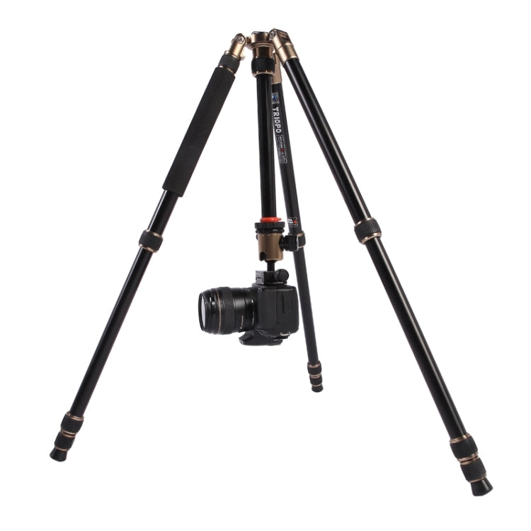 Triopo MT-2504C Adjustable Portable Aluminum Tripod with NB-1S Ball Head for Canon Nikon Sony DSLR Camera